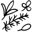Kräuter Icon